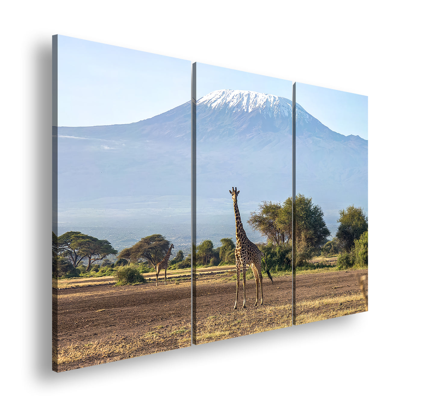 Hauptbild Farbig 3 Teilig