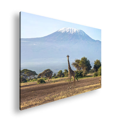 Hauptbild Farbig Standart