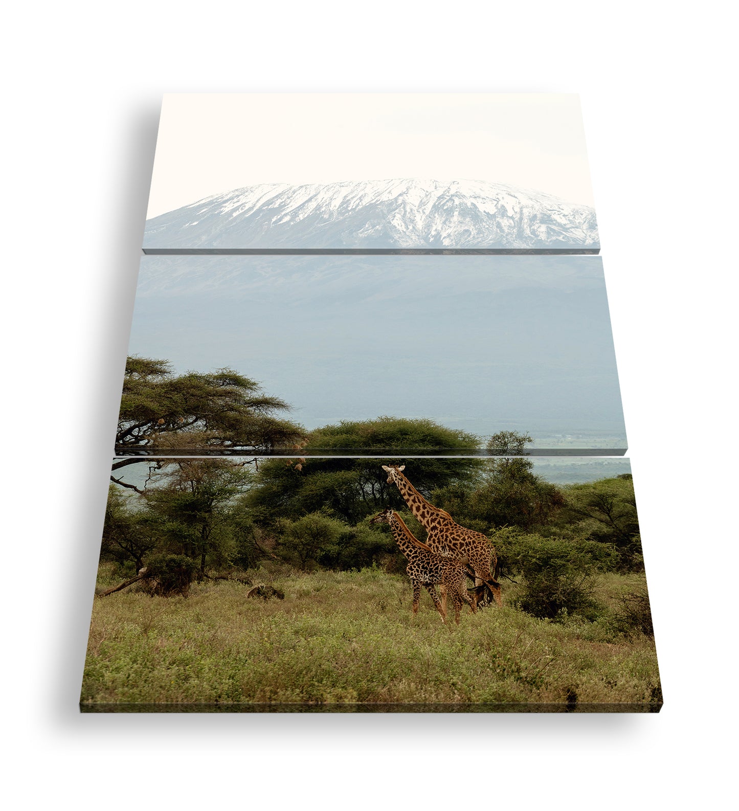 Hauptbild Farbig 3 Teilig