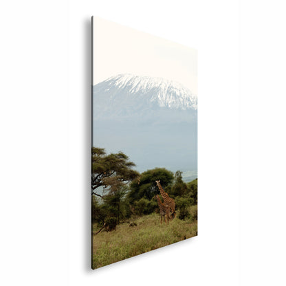 Hauptbild Farbig Standart