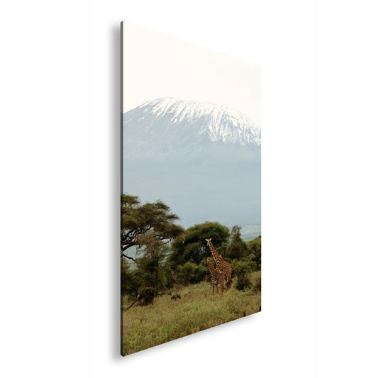 Hauptbild Farbig Standart