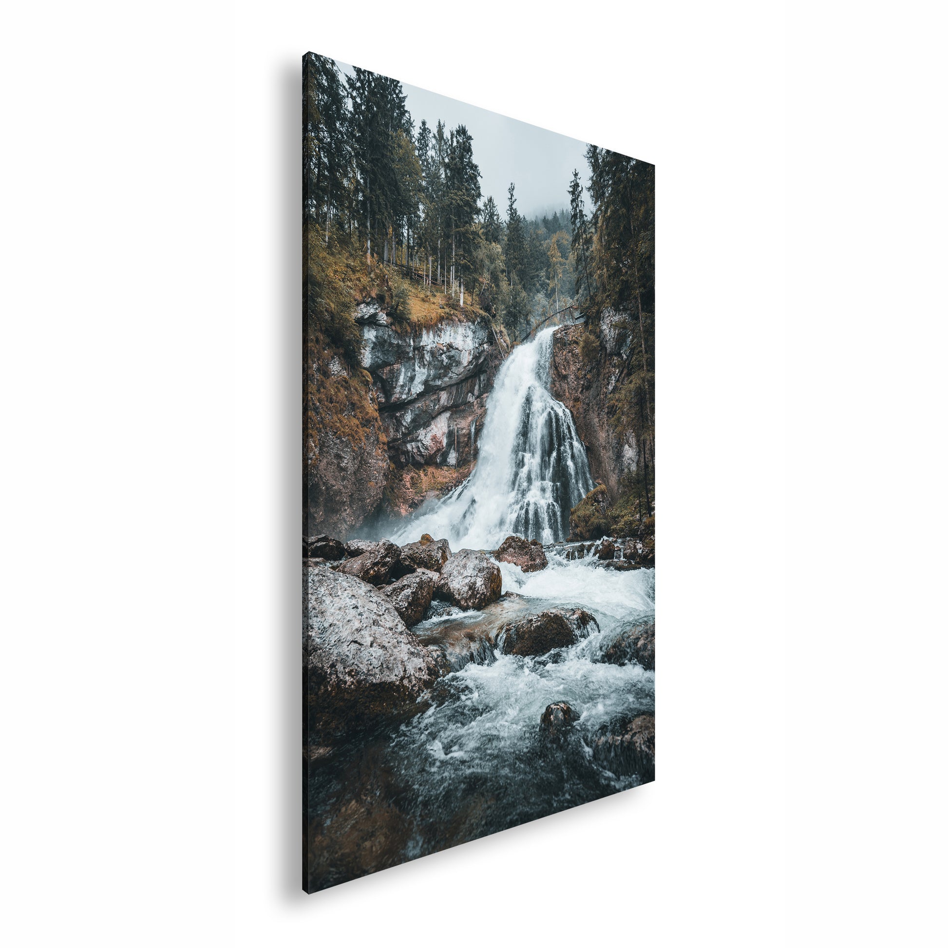 Hauptbild Farbig Standart