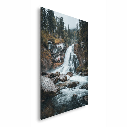 Hauptbild Farbig Standart