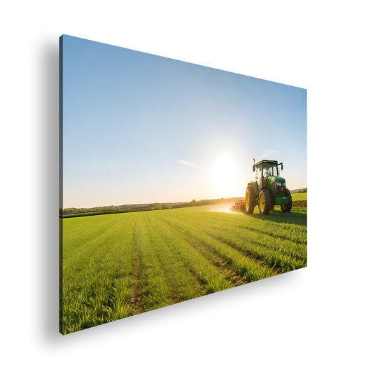 Hauptbild Farbig Standart