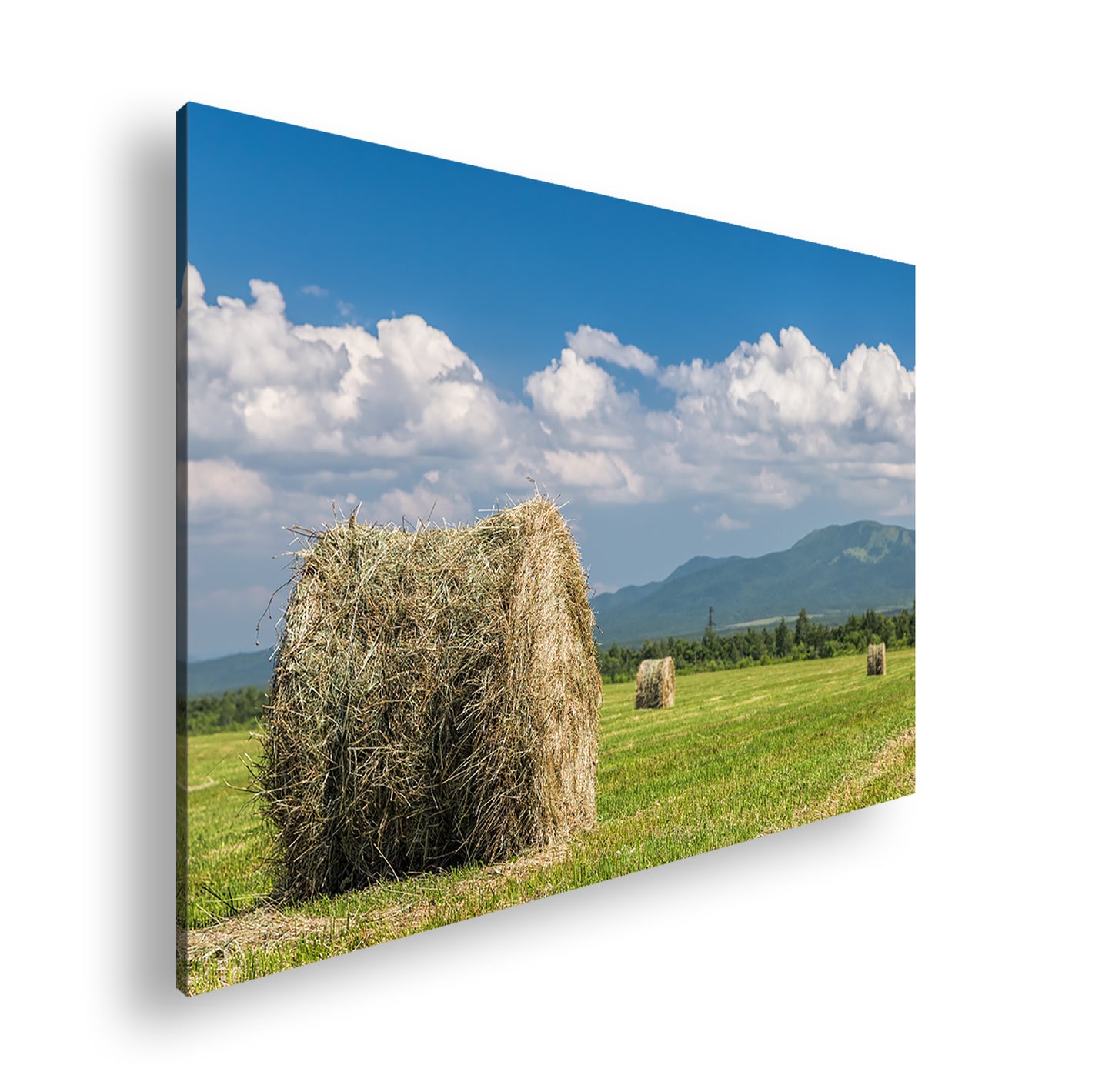 Hauptbild Farbig Standart