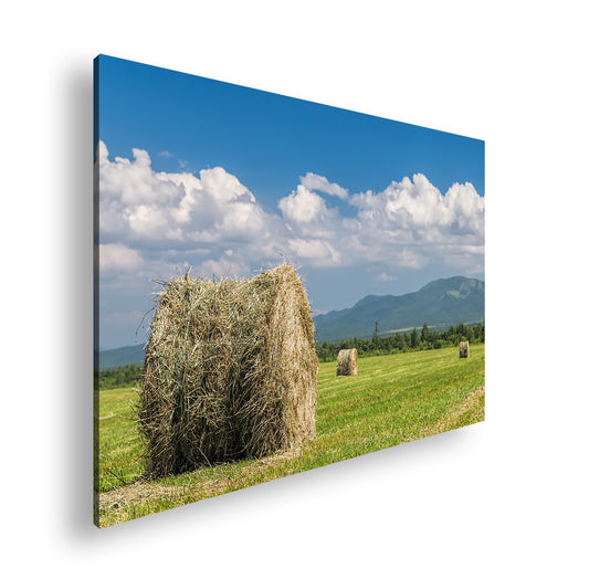 Hauptbild Farbig Standart