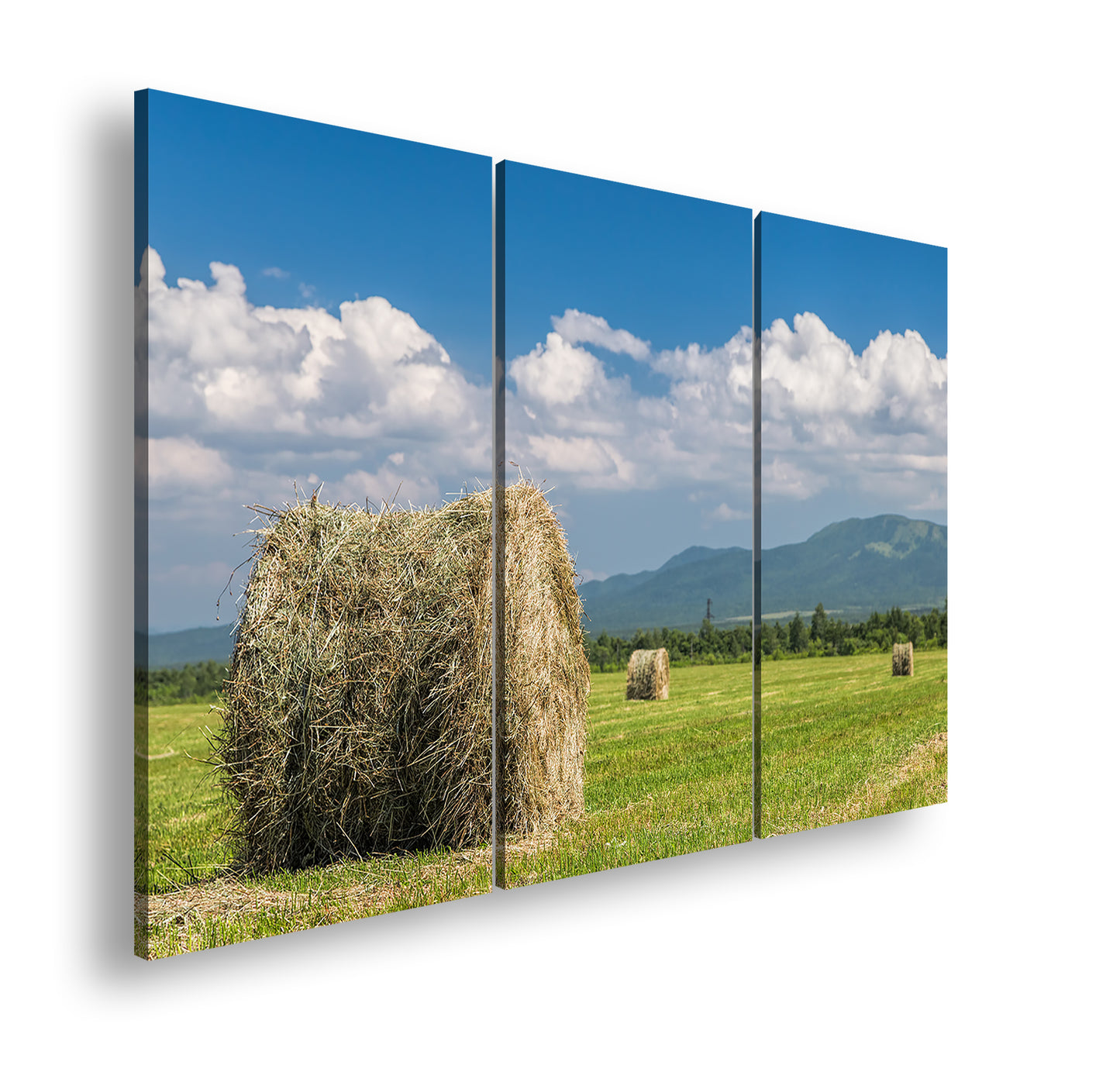 Hauptbild Farbig 3 Teilig