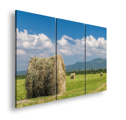 Hauptbild Farbig 3 Teilig