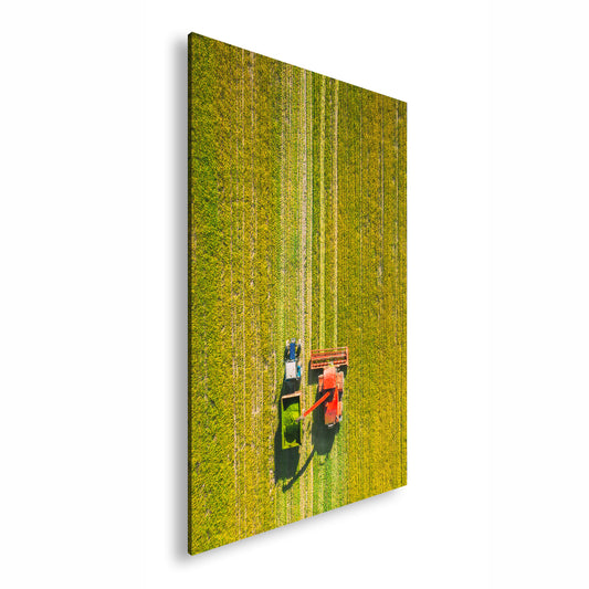 Hauptbild Farbig Standart