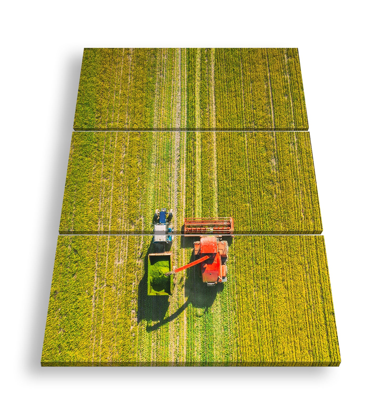 Hauptbild Farbig 3 Teilig