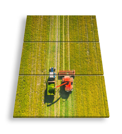 Hauptbild Farbig 3 Teilig