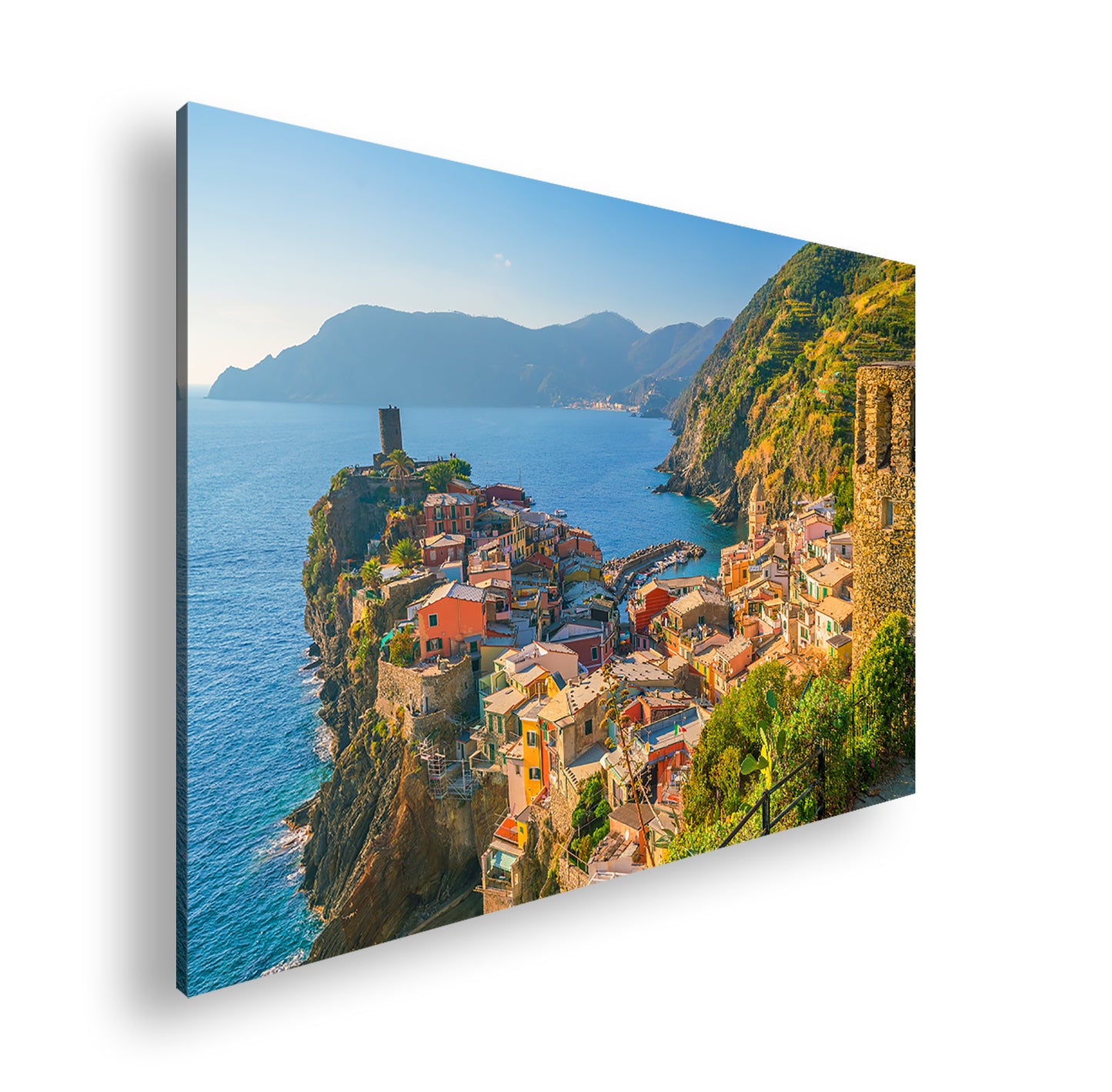 Hauptbild Farbig Standart