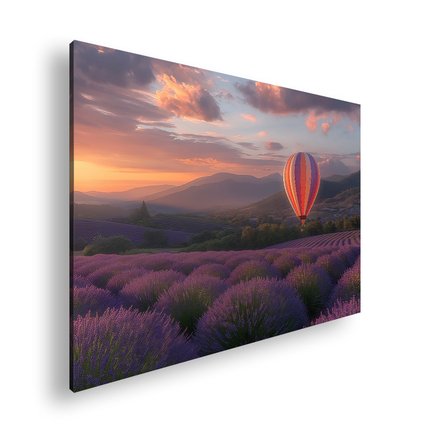 Hauptbild Farbig Standart