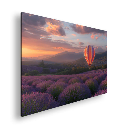 Hauptbild Farbig Standart