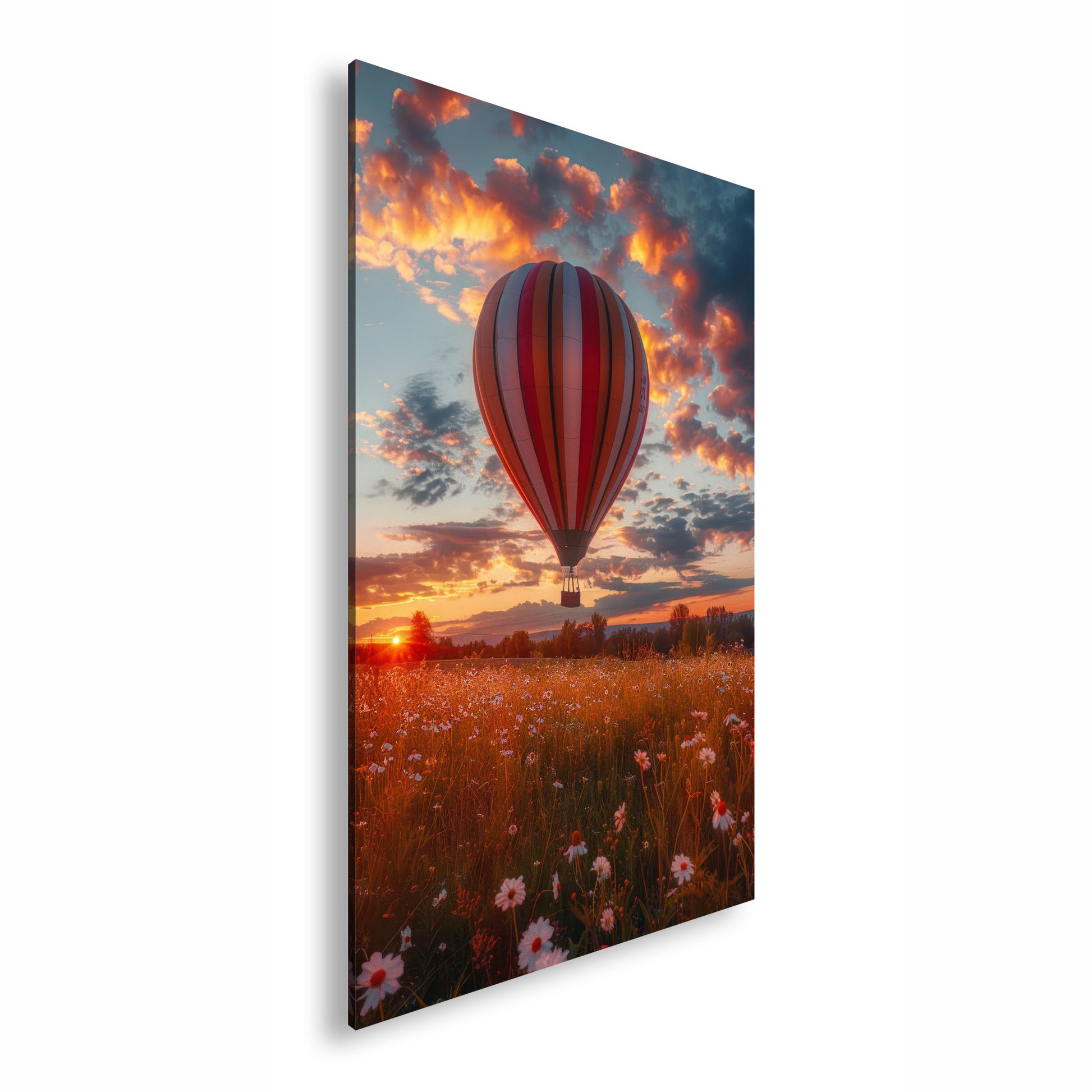 Hauptbild Farbig Standart