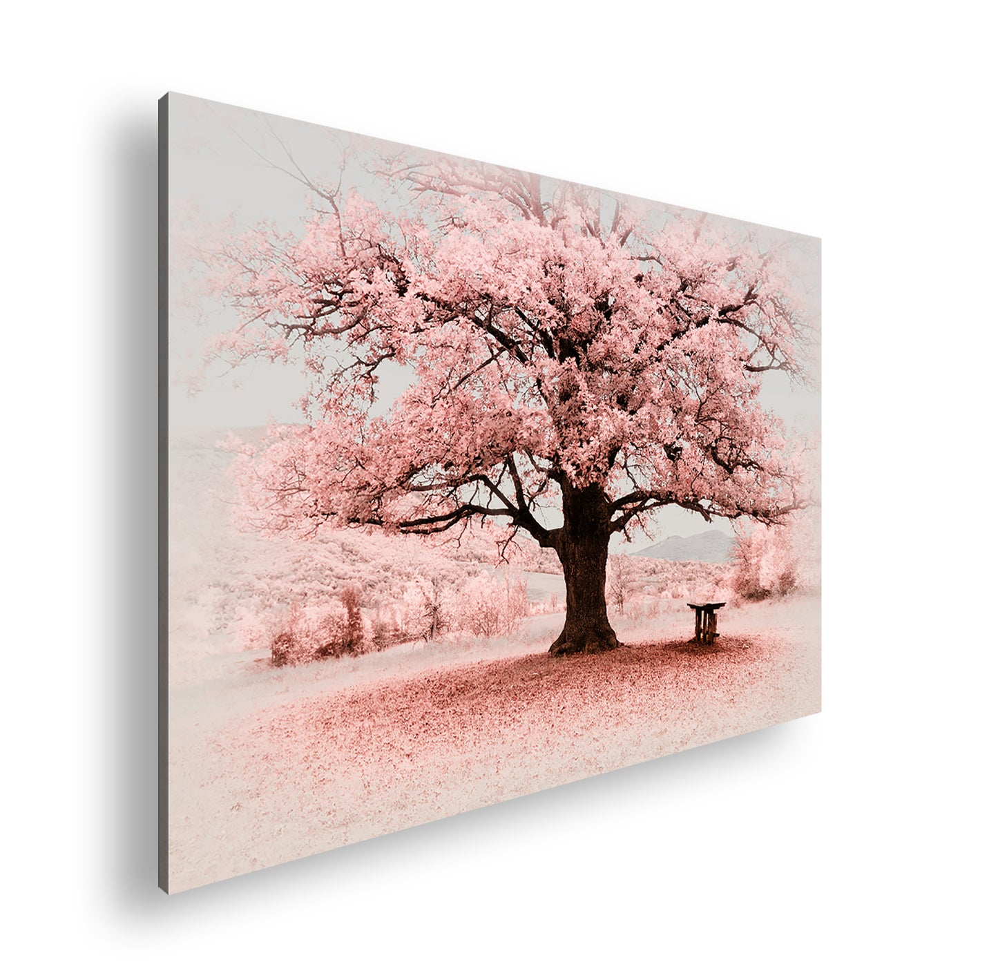 Hauptbild Farbig Standart