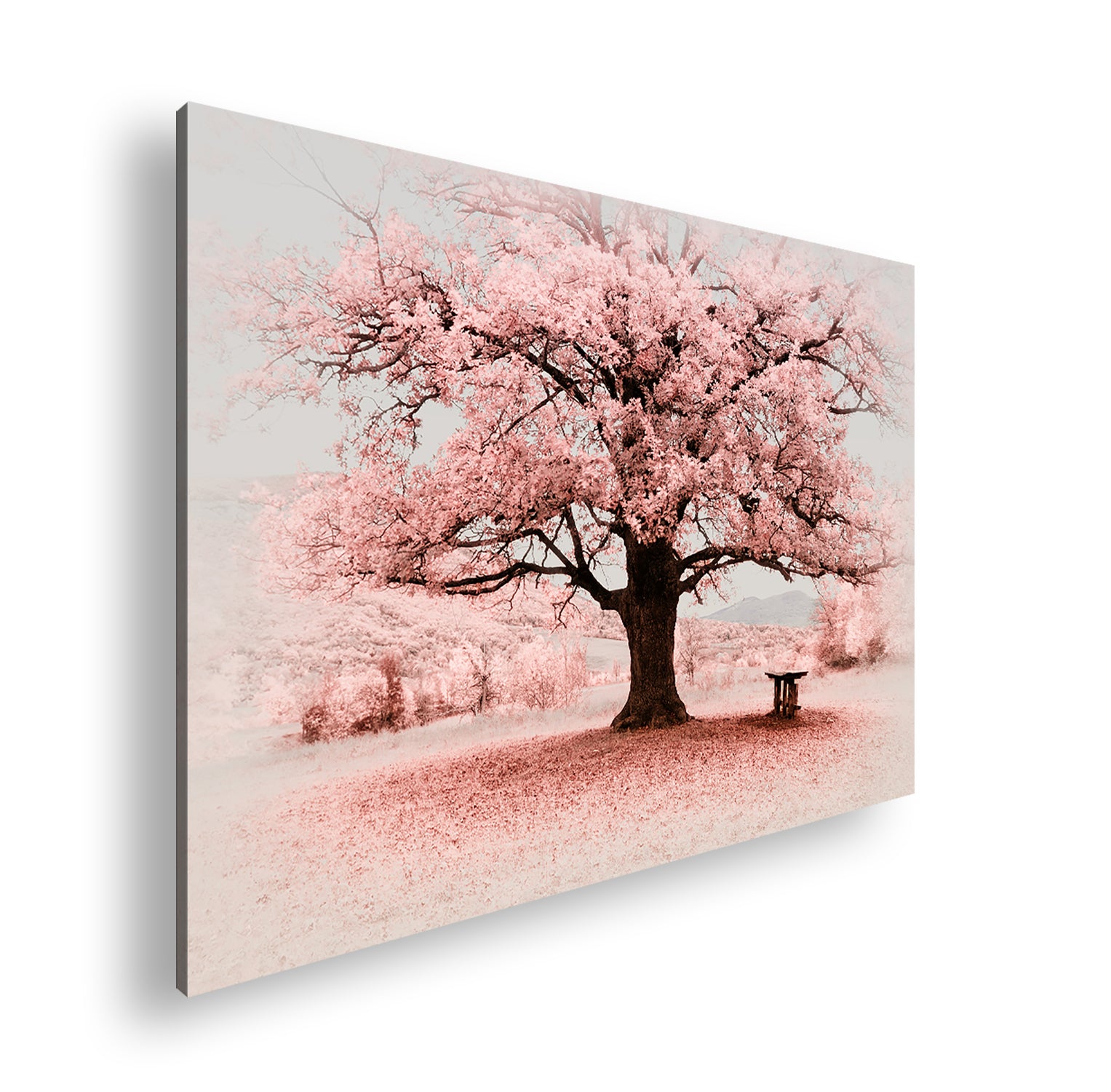 Hauptbild Farbig Standart