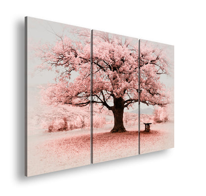 Hauptbild Farbig 3 Teilig