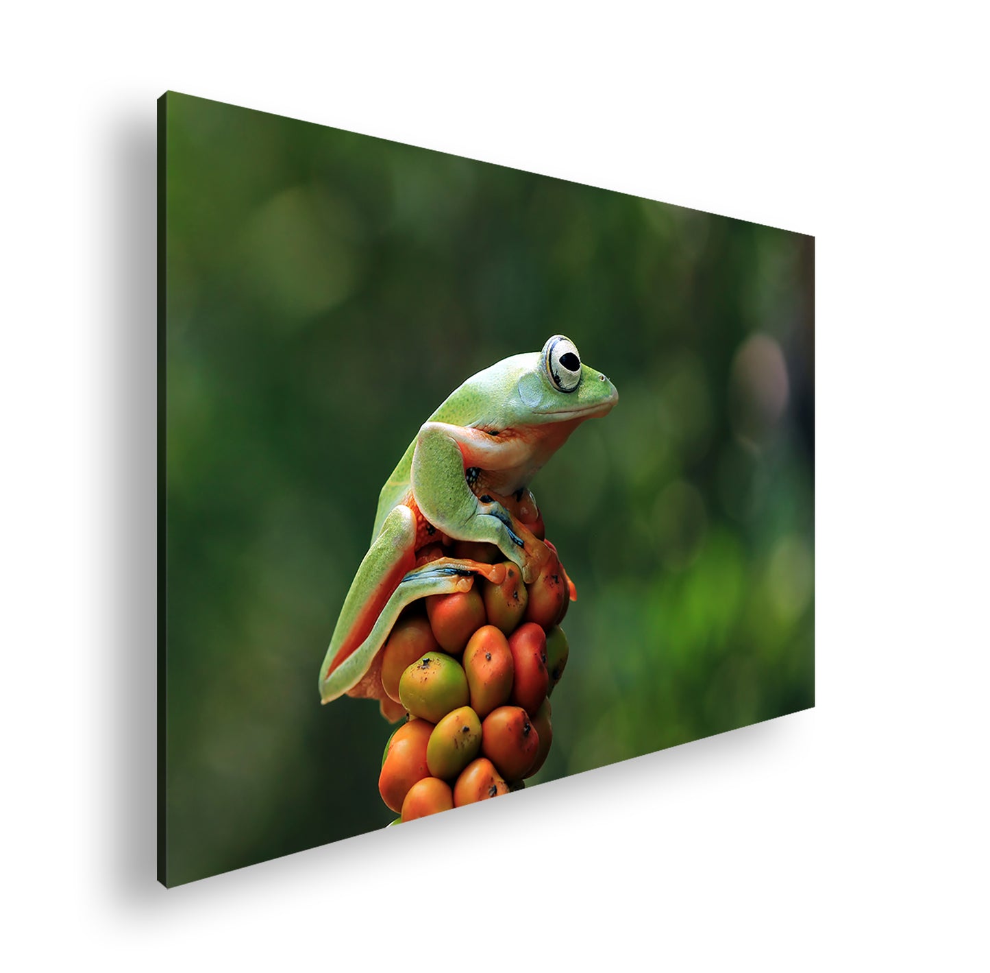 Hauptbild Farbig Standart