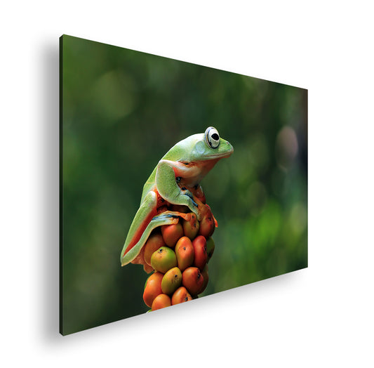 Hauptbild Farbig Standart