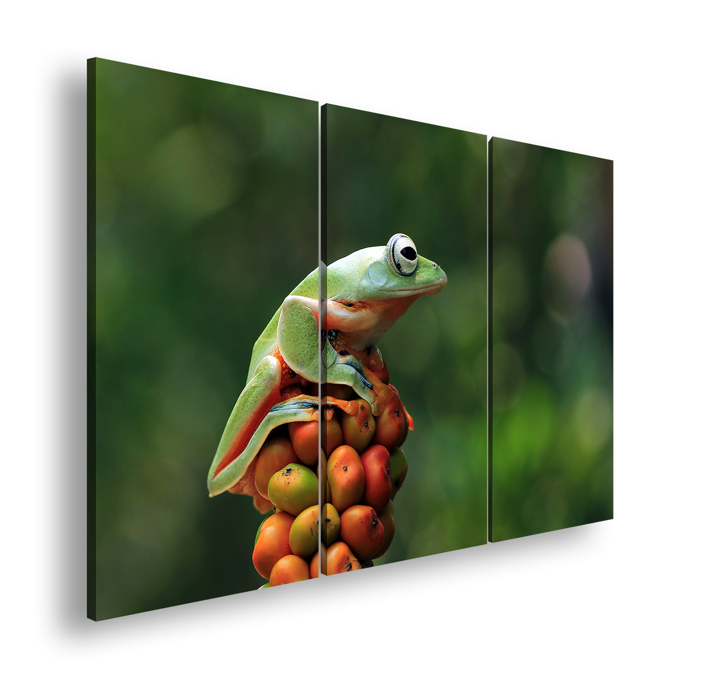 Hauptbild Farbig 3 Teilig