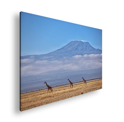 Hauptbild Farbig Standart