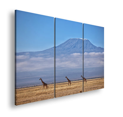 Hauptbild Farbig 3 Teilig