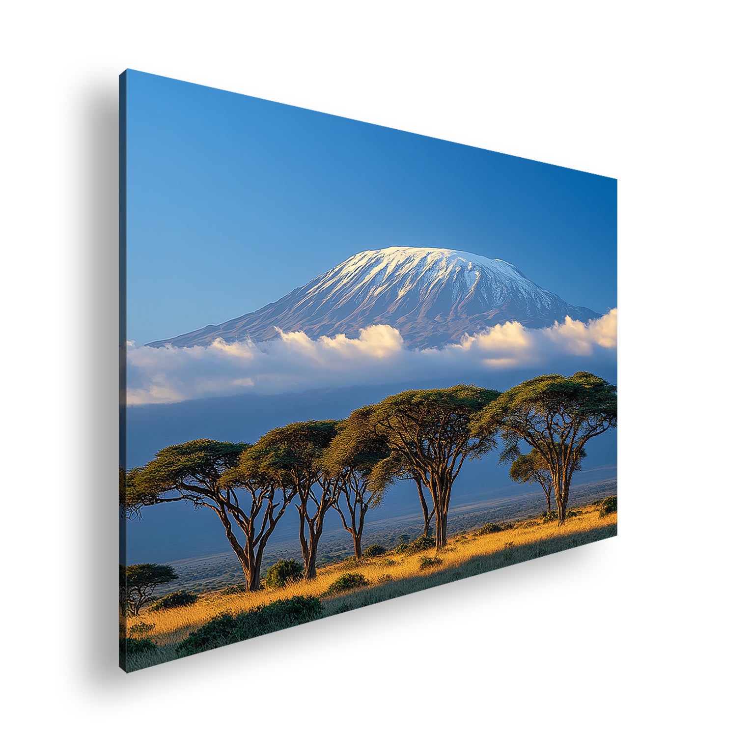 Hauptbild Farbig Standart