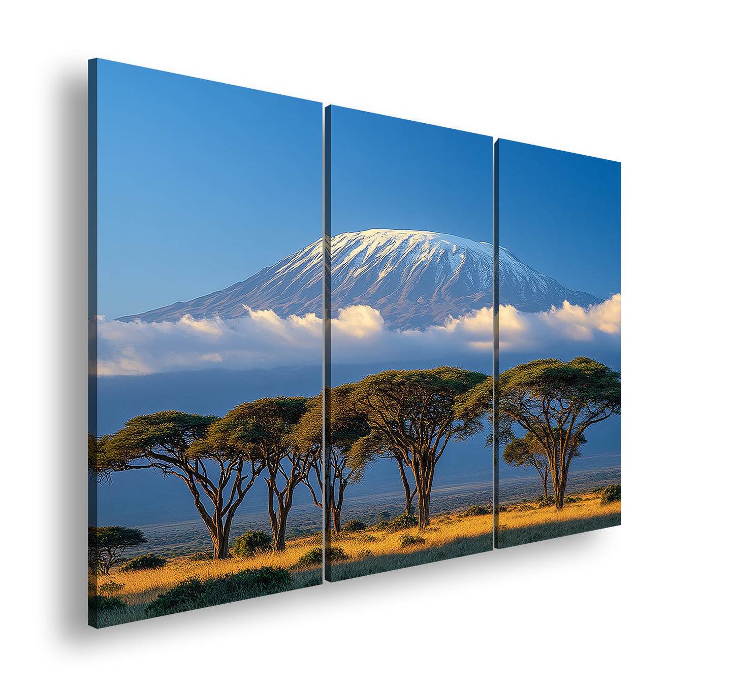 Hauptbild Farbig 3 Teilig