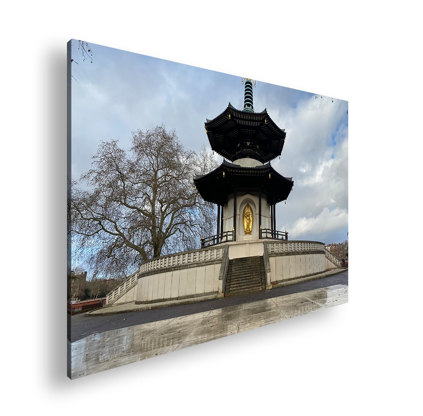 Hauptbild Farbig Standart