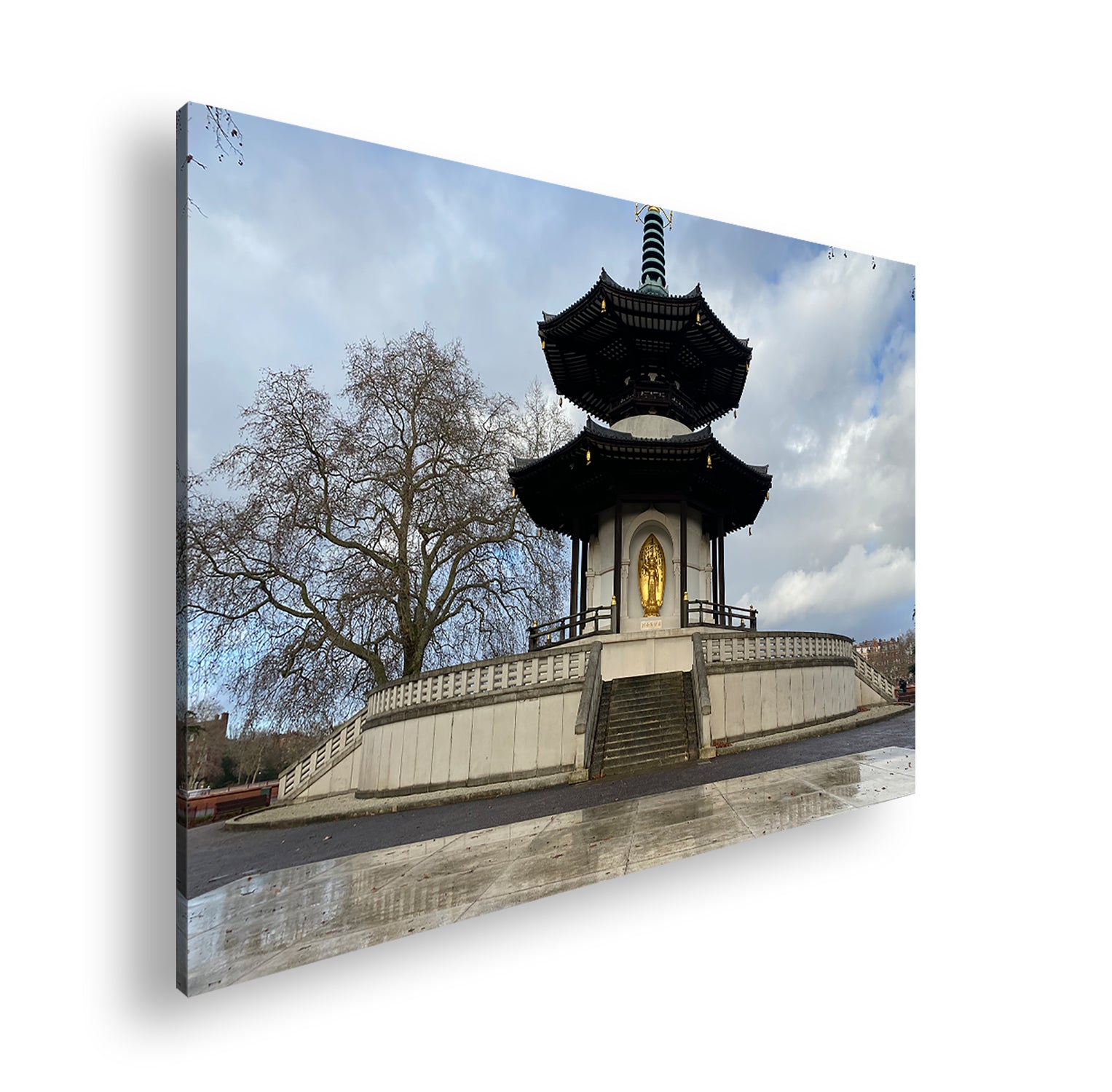 Hauptbild Farbig Standart