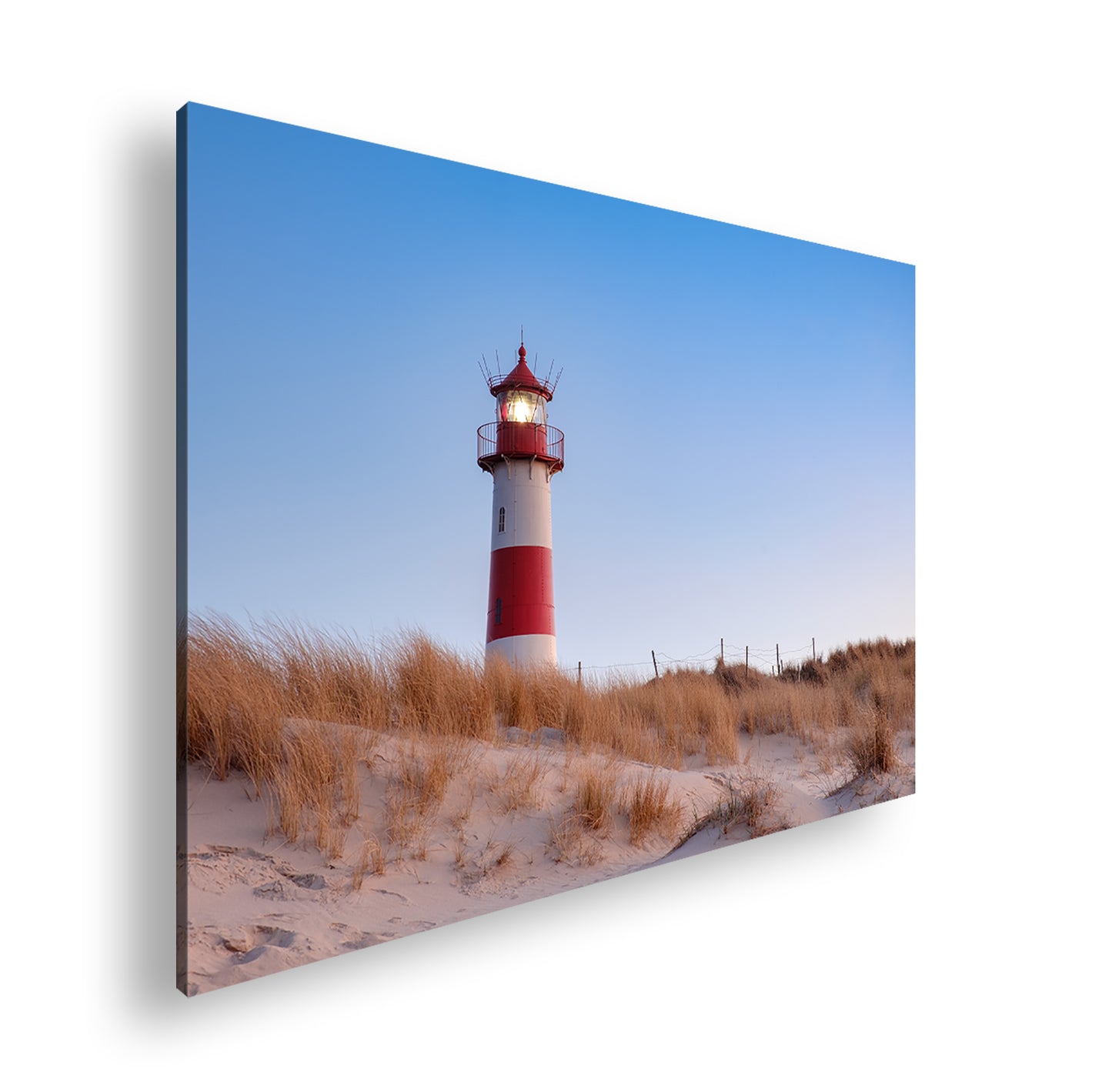 Hauptbild Farbig Standart