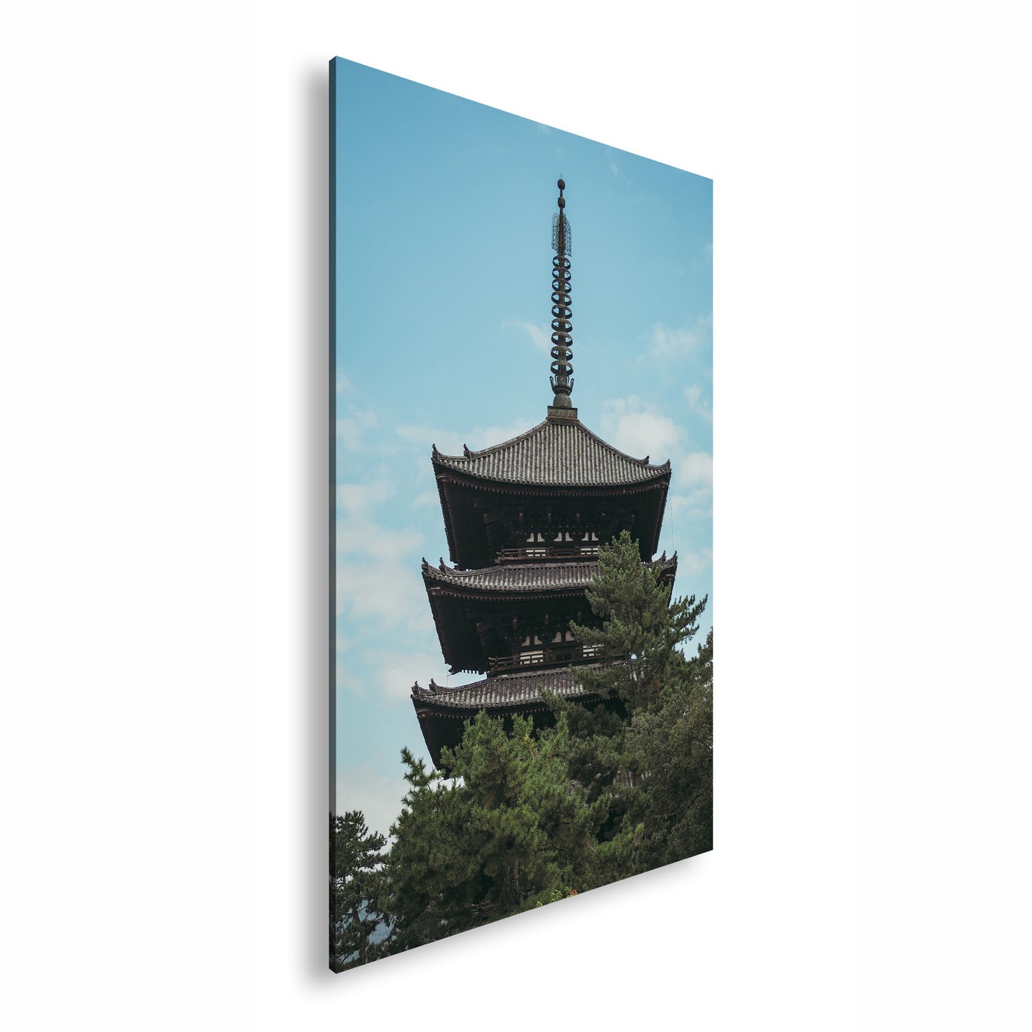 Hauptbild Farbig Standart