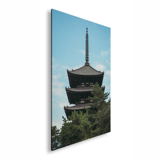 Hauptbild Farbig Standart