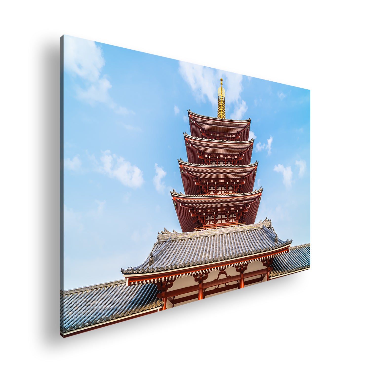 Hauptbild Farbig Standart