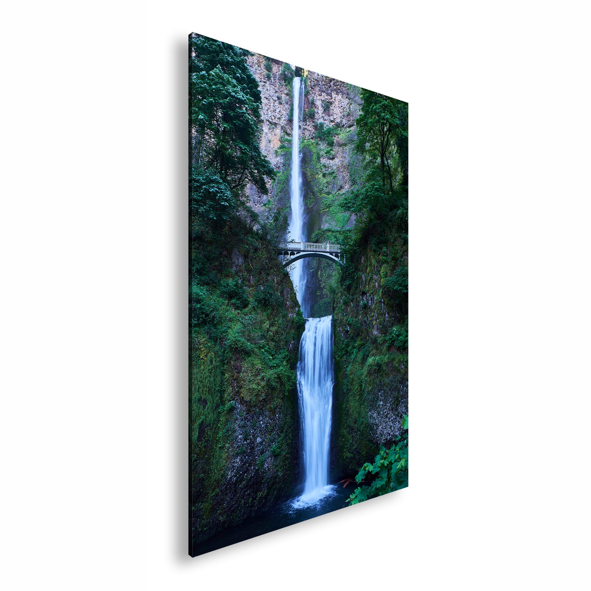 Hauptbild Farbig Standart