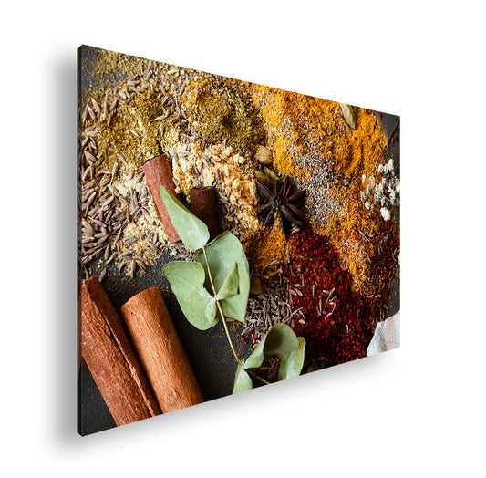 Hauptbild Farbig Standart