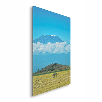 Hauptbild Farbig Standart