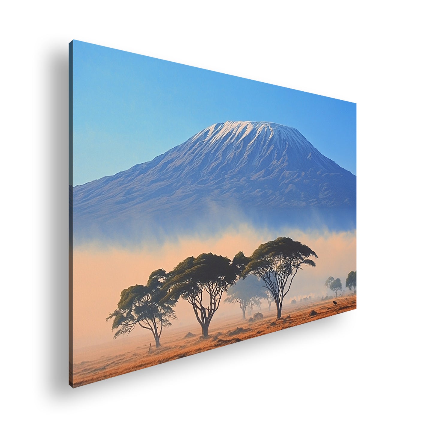 Hauptbild Farbig Standart