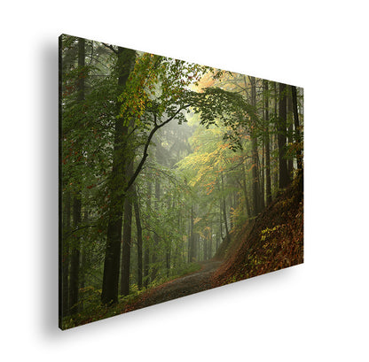 Hauptbild Farbig Standart