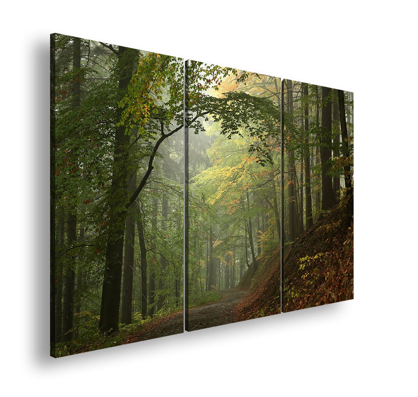 Hauptbild Farbig 3 Teilig