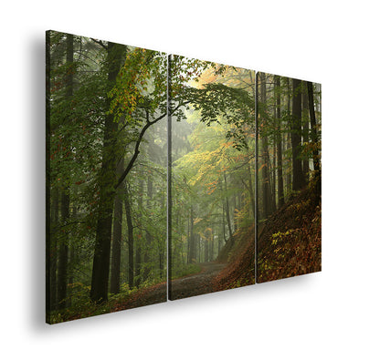 Hauptbild Farbig 3 Teilig