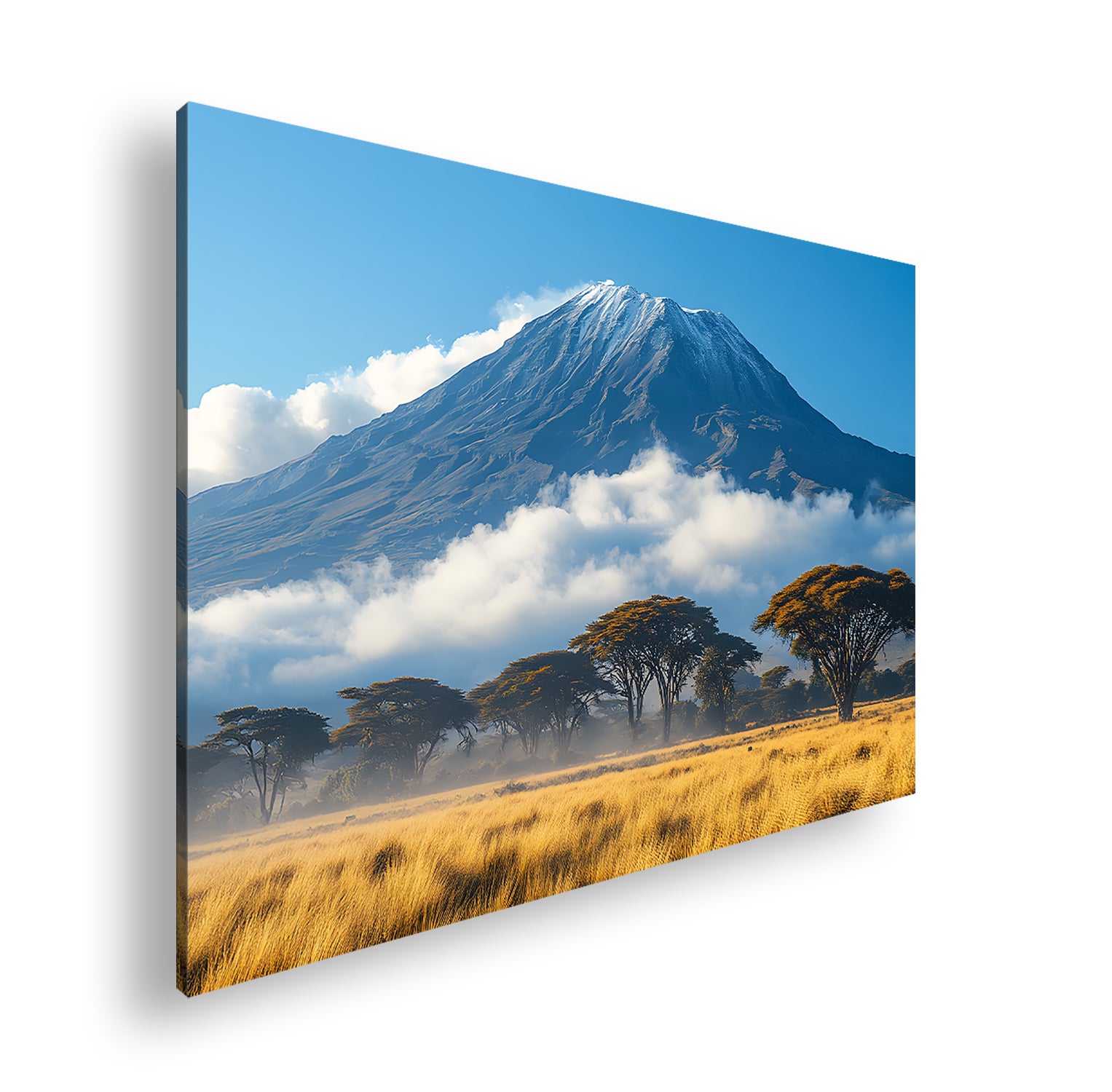 Hauptbild Farbig Standart