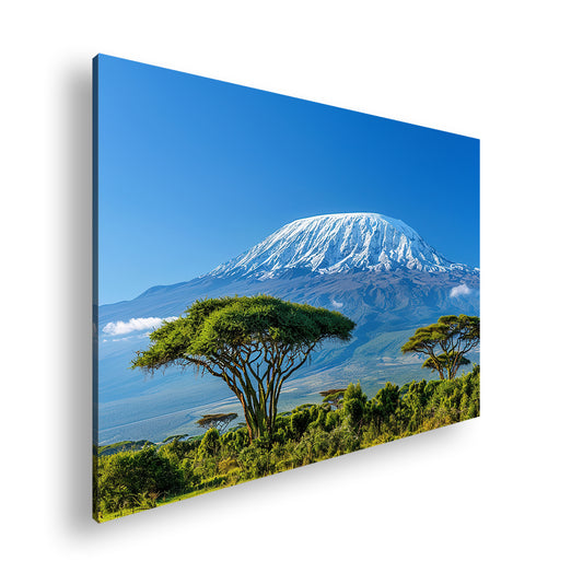 Hauptbild Farbig Standart