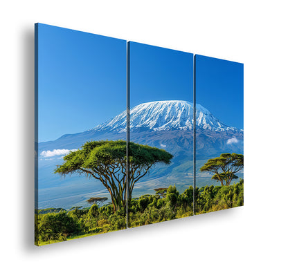 Hauptbild Farbig 3 Teilig