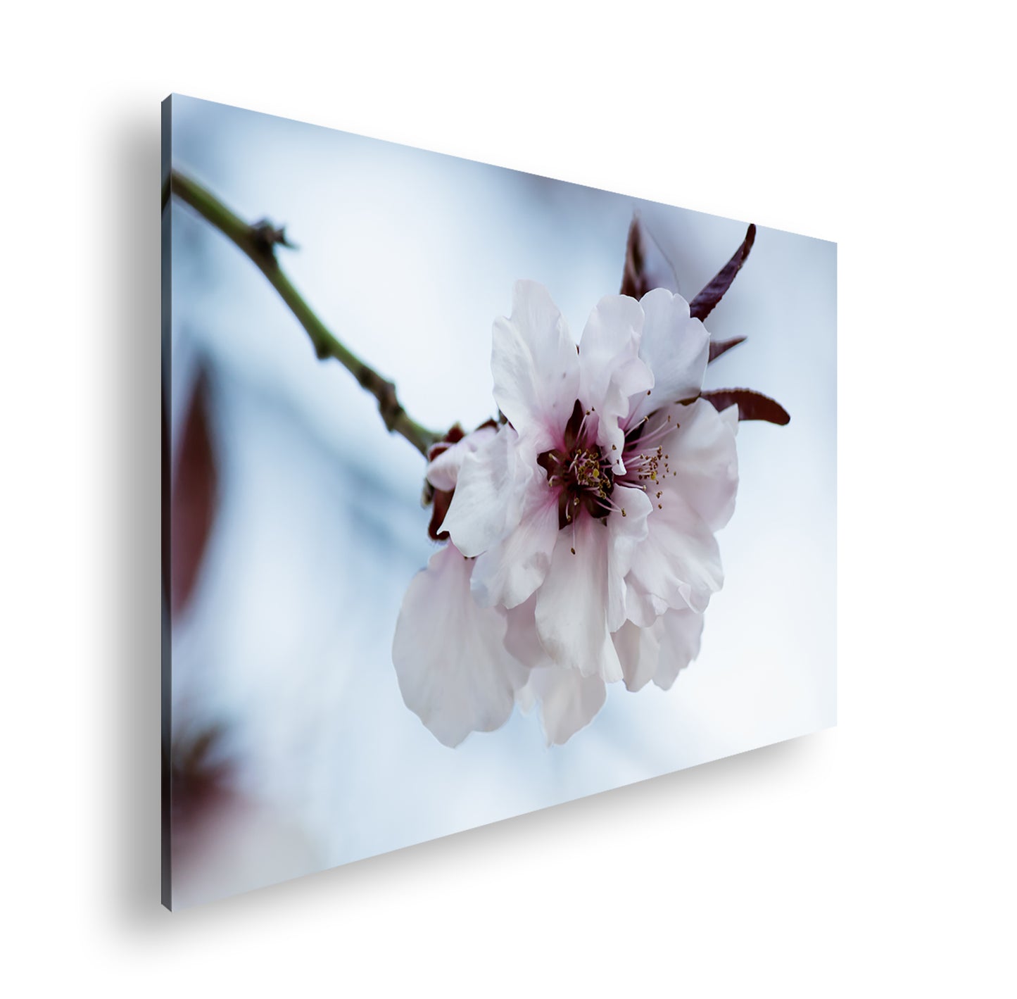 Hauptbild Farbig Standart