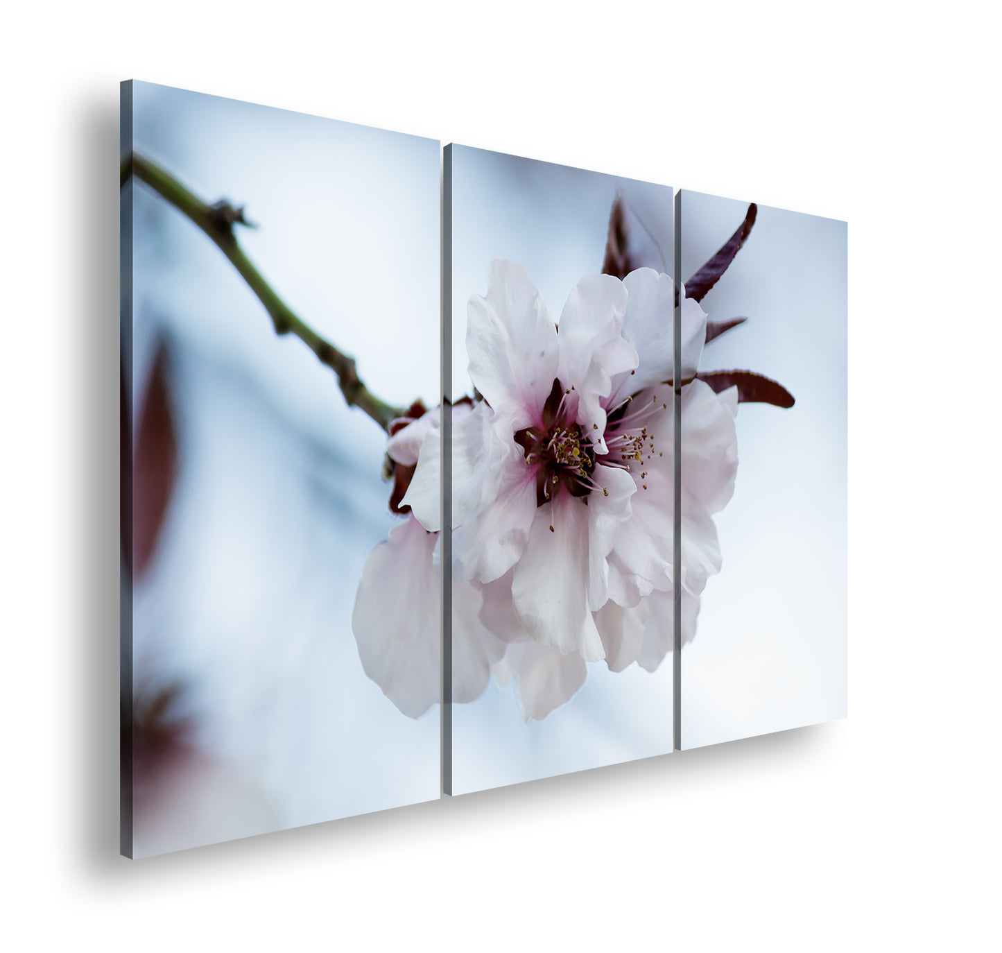 Hauptbild Farbig 3 Teilig