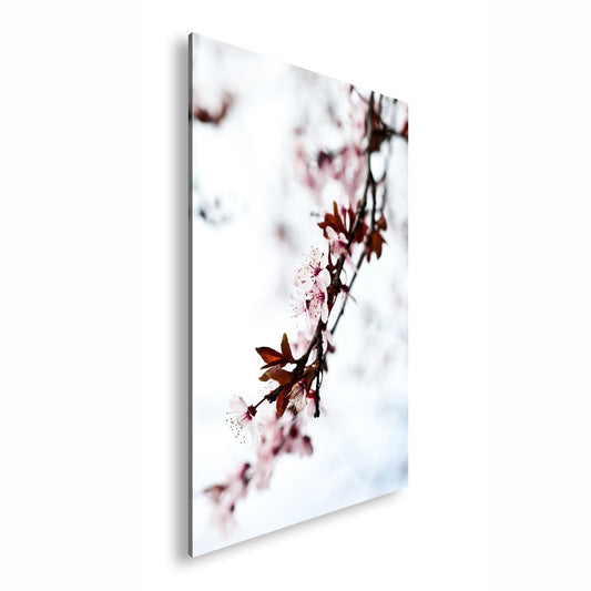 Hauptbild Farbig Standart