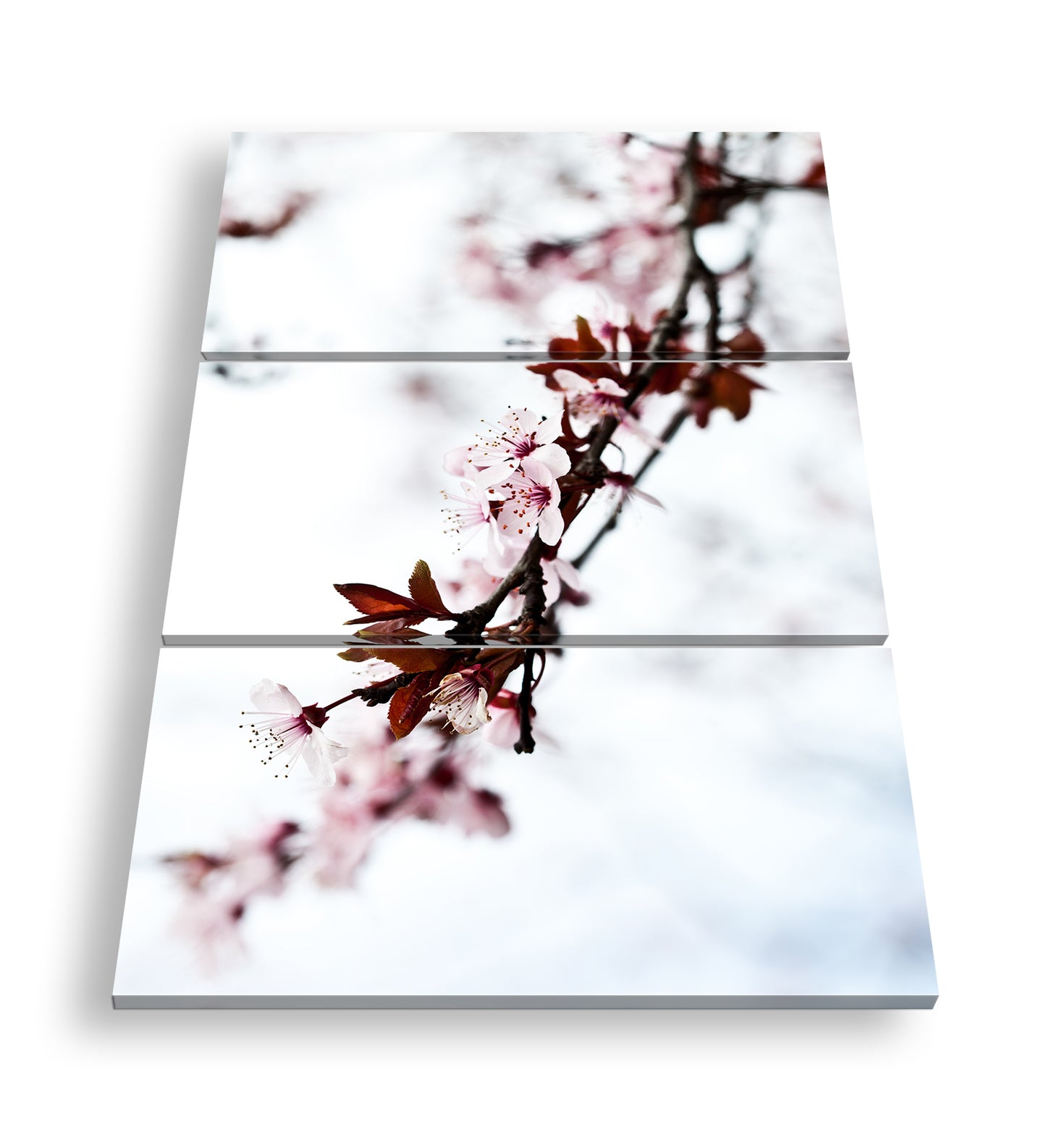 Hauptbild Farbig 3 Teilig