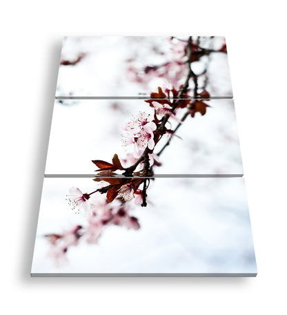 Hauptbild Farbig 3 Teilig